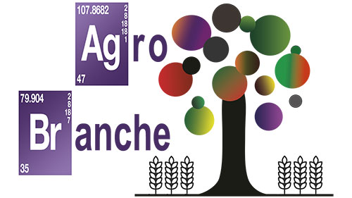 arbratatouille-projet-agroforesterie-maraichage
