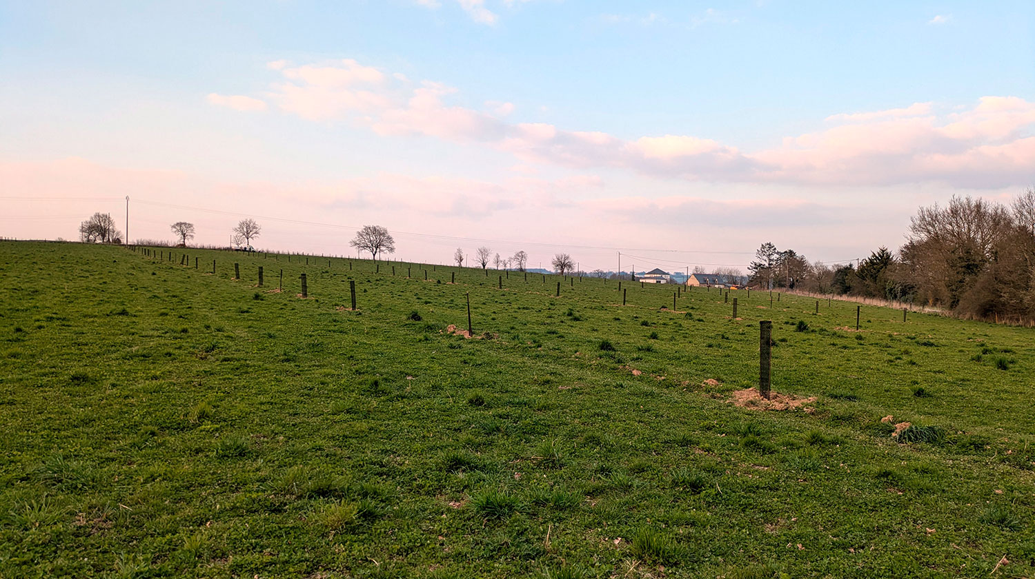 parcelle-agrofoiresterie