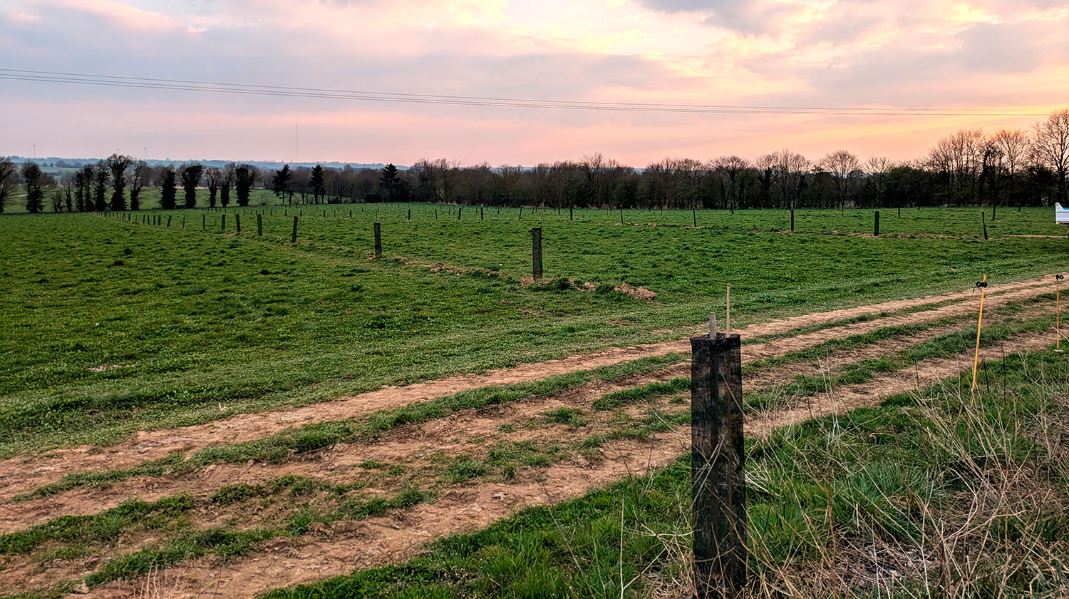 parcelle-agroforesterie-2