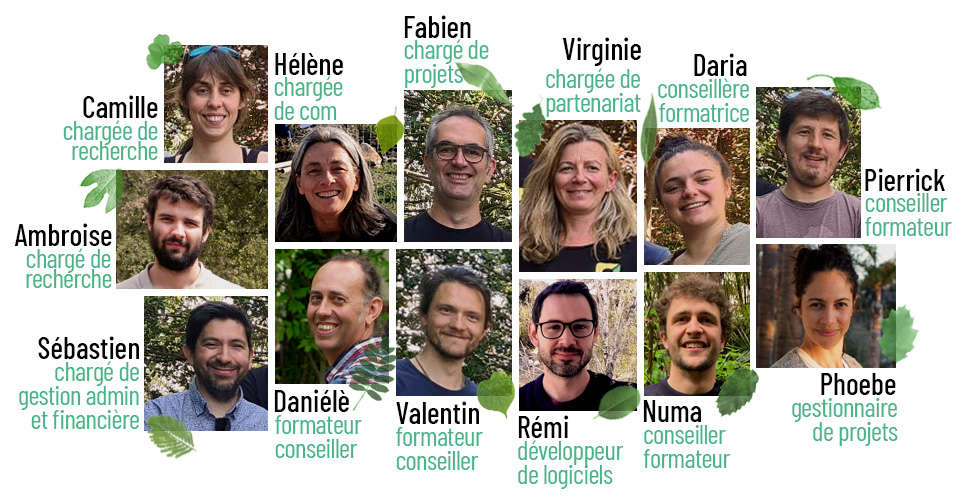 equipe agroof conseillers chercheurs planteurs